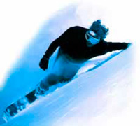 Snowboard schutz und Protektoren  Webshop